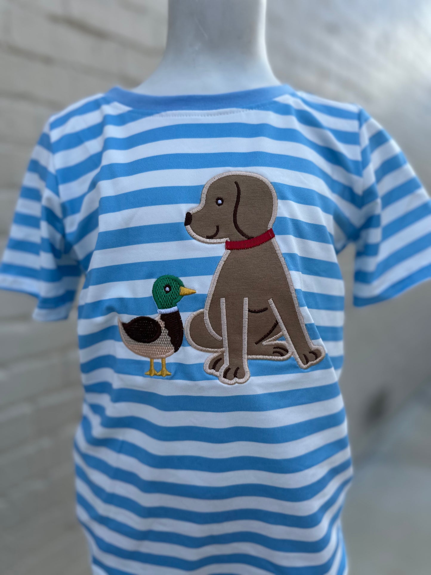 Blue stripe dog duck set